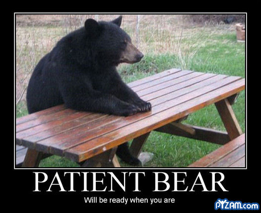 patientbear.jpg