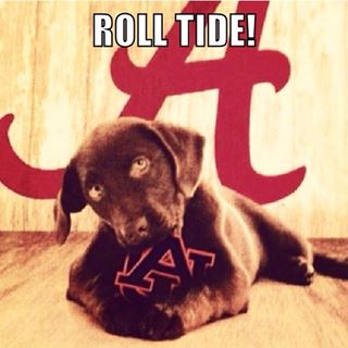 alabama-lab.jpg