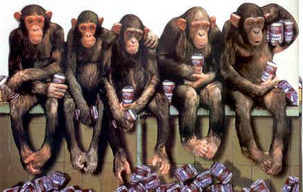 monkeys_beers.jpg