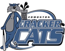 Edmonton_Cracker_Cats.jpg
