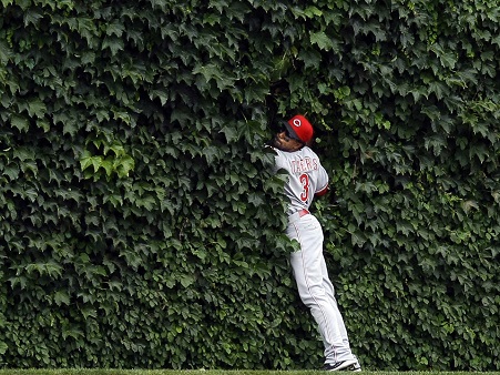 Wrigley-Ivy.jpg